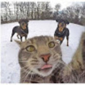 Meet your Posher, Kamari